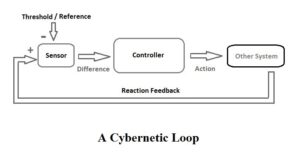 Cybernetic Loop